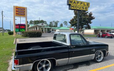 Chevrolet-C-10-1984-Standard-Cab-Pickup-35