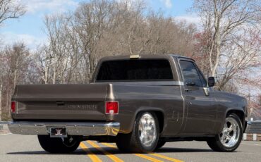 Chevrolet-C-10-1986-Pickup-Truck-14