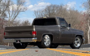Chevrolet-C-10-1986-Pickup-Truck-15