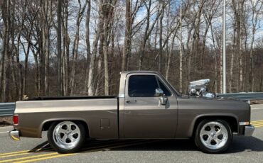 Chevrolet-C-10-1986-Pickup-Truck-20