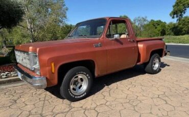 Chevrolet-C-10-custom-deluxe-stepside-1978-red-12