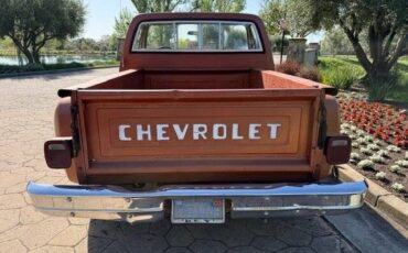 Chevrolet-C-10-custom-deluxe-stepside-1978-red-6