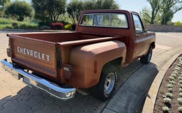 Chevrolet-C-10-custom-deluxe-stepside-1978-red-7