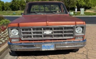Chevrolet-C-10-custom-deluxe-stepside-1978-red-8