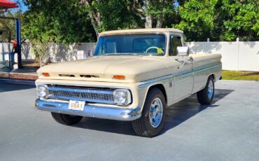 Chevrolet-C-20-Pickup-1964-Pickup-Truck-1