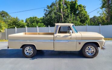 Chevrolet-C-20-Pickup-1964-Pickup-Truck-10