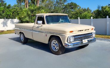 Chevrolet-C-20-Pickup-1964-Pickup-Truck-11
