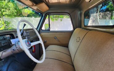 Chevrolet-C-20-Pickup-1964-Pickup-Truck-24