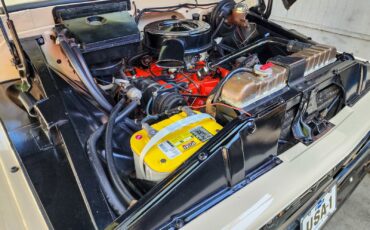 Chevrolet-C-20-Pickup-1964-Pickup-Truck-28
