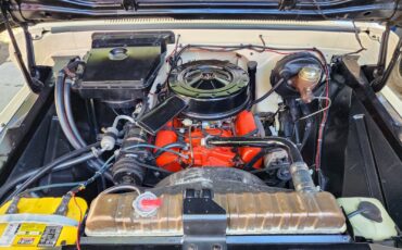 Chevrolet-C-20-Pickup-1964-Pickup-Truck-29