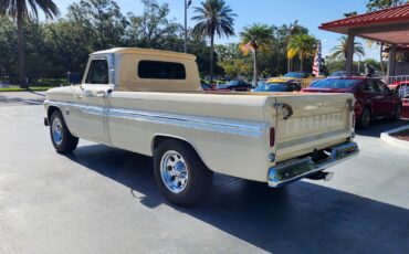 Chevrolet-C-20-Pickup-1964-Pickup-Truck-3