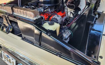 Chevrolet-C-20-Pickup-1964-Pickup-Truck-30