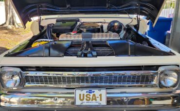 Chevrolet-C-20-Pickup-1964-Pickup-Truck-32