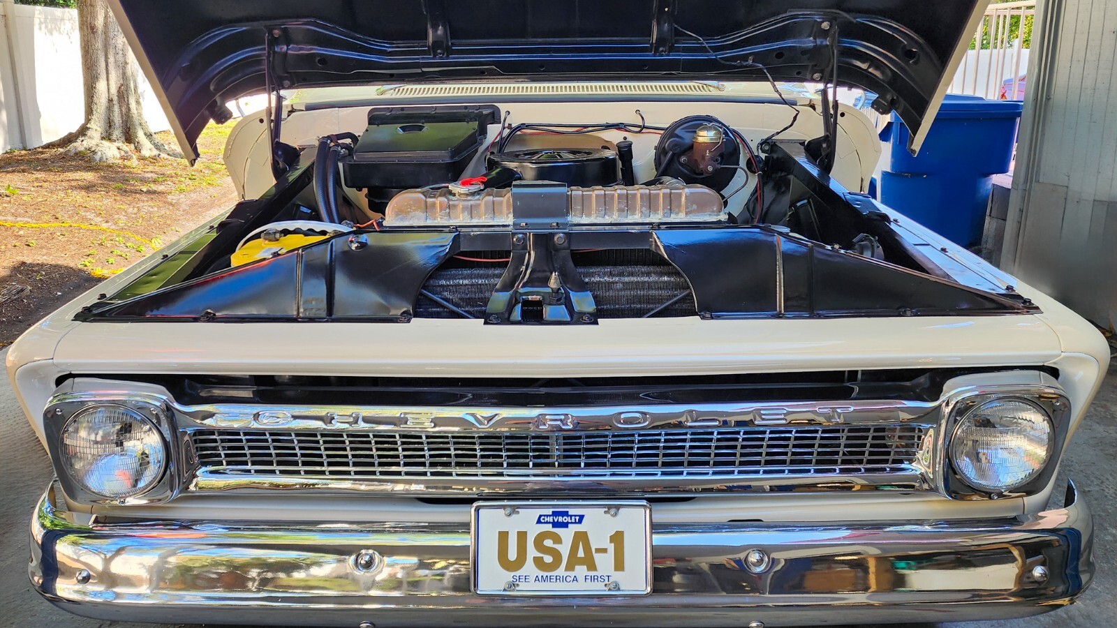 Chevrolet-C-20-Pickup-1964-Pickup-Truck-32