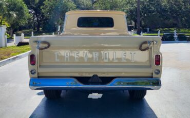 Chevrolet-C-20-Pickup-1964-Pickup-Truck-5