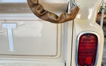 Chevrolet-C-20-Pickup-1964-Pickup-Truck-6