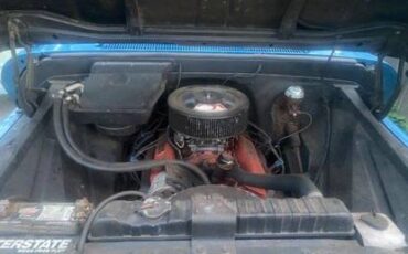 Chevrolet-C10-1965-blue-2