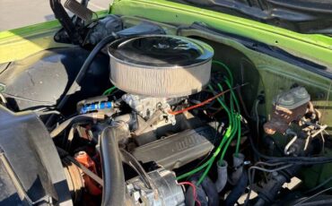 Chevrolet-C10-1969-green-14