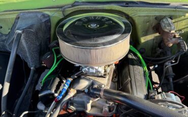 Chevrolet-C10-1969-green-15