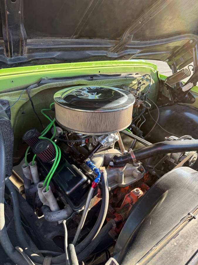 Chevrolet-C10-1969-green-16