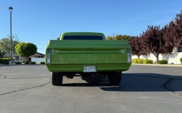 Chevrolet-C10-1969-green-6