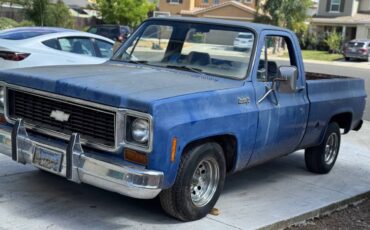 Chevrolet-C10-1974-1