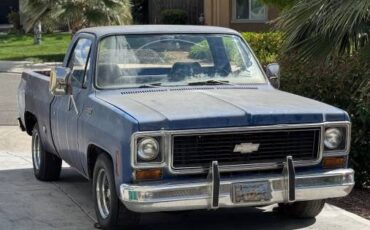 Chevrolet-C10-1974-4