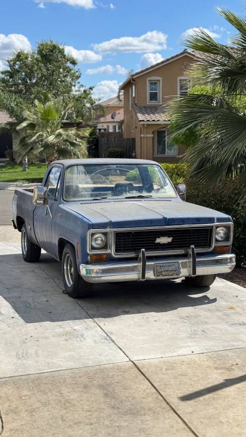 Chevrolet-C10-1974-4
