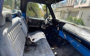 Chevrolet-C10-1974-6