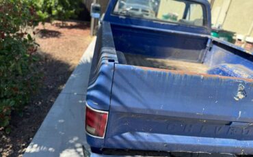Chevrolet-C10-1974-9