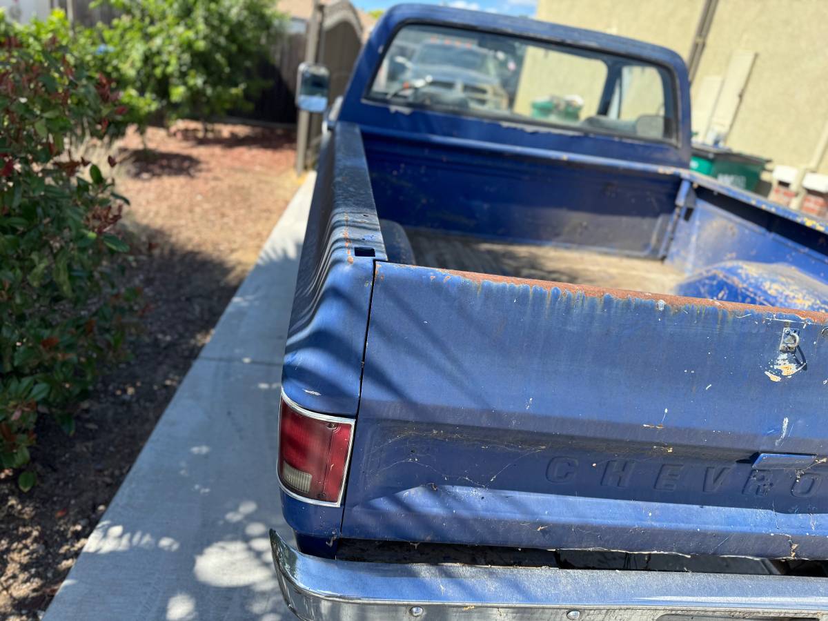 Chevrolet-C10-1974-9