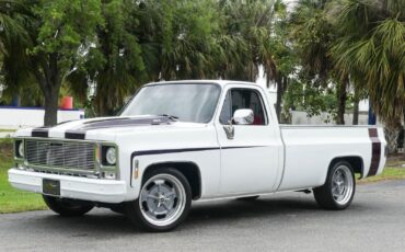 Chevrolet-C10-1979-Pickup-Truck-10