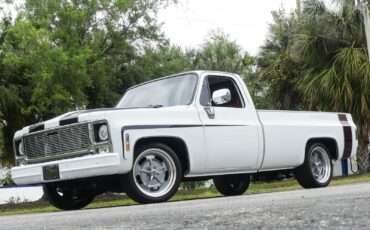 Chevrolet-C10-1979-Pickup-Truck-11
