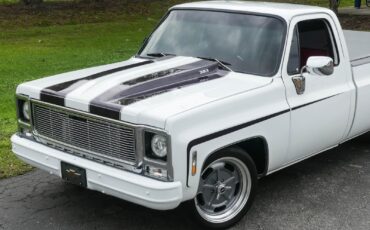 Chevrolet-C10-1979-Pickup-Truck-12