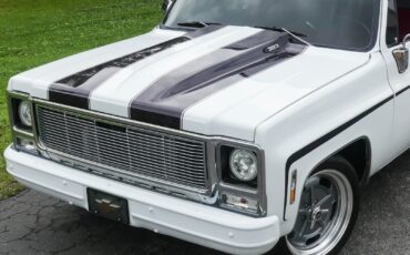 Chevrolet-C10-1979-Pickup-Truck-13
