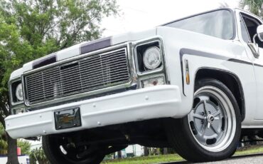 Chevrolet-C10-1979-Pickup-Truck-14
