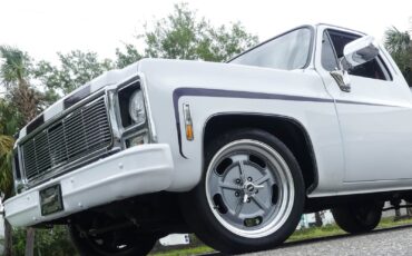 Chevrolet-C10-1979-Pickup-Truck-15