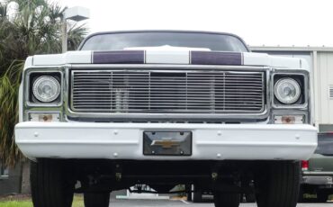 Chevrolet-C10-1979-Pickup-Truck-16