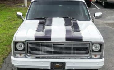 Chevrolet-C10-1979-Pickup-Truck-18