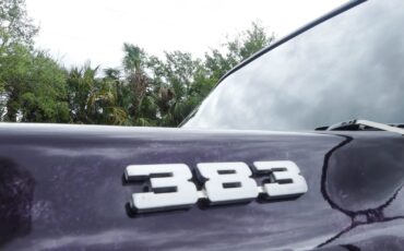 Chevrolet-C10-1979-Pickup-Truck-19