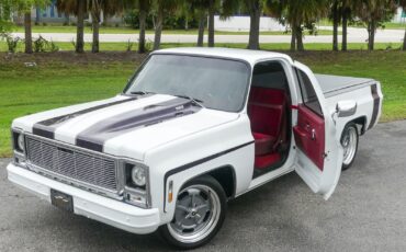 Chevrolet-C10-1979-Pickup-Truck-2