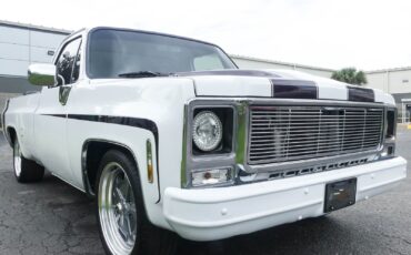Chevrolet-C10-1979-Pickup-Truck-23