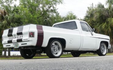 Chevrolet-C10-1979-Pickup-Truck-3