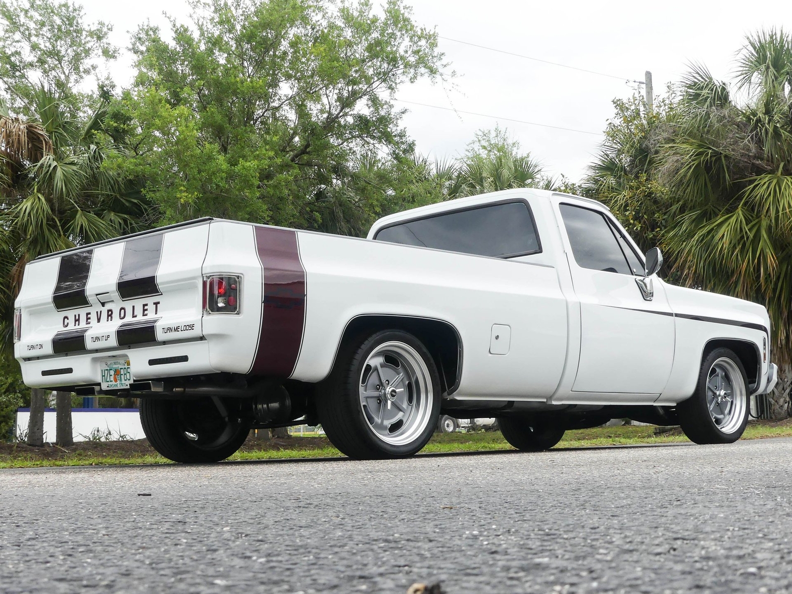 Chevrolet-C10-1979-Pickup-Truck-3