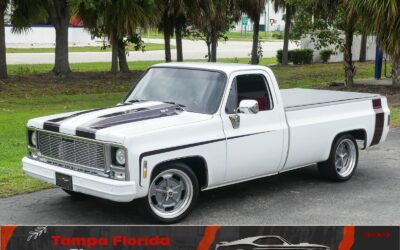 Chevrolet C10 1979