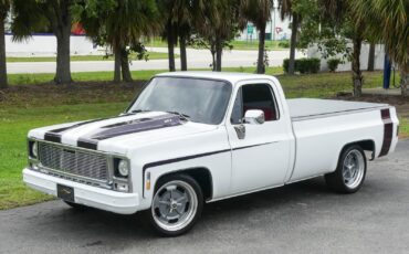 Chevrolet-C10-1979-Pickup-Truck-9