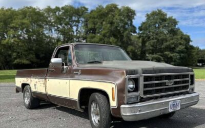 Chevrolet C10  1979 brown