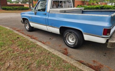 Chevrolet-C10-1985-1