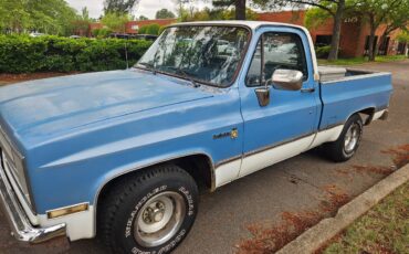 Chevrolet-C10-1985-2