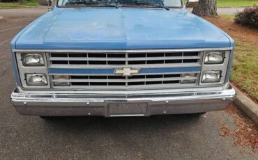 Chevrolet-C10-1985-4